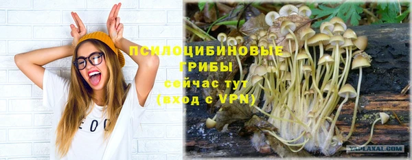 трава Аркадак