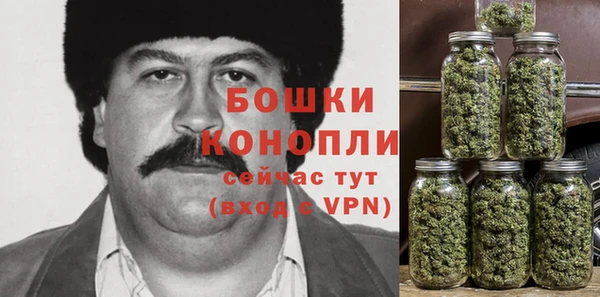 трава Аркадак