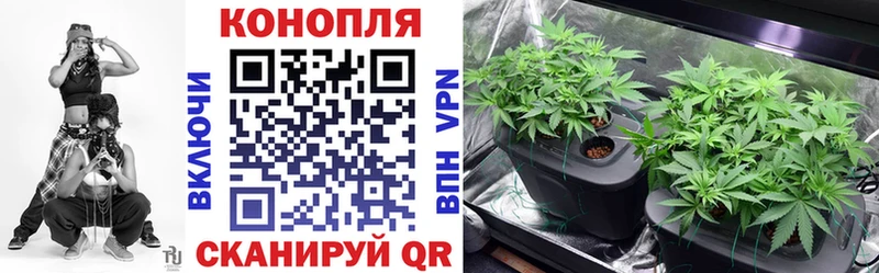 Конопля Ganja  Калязин 